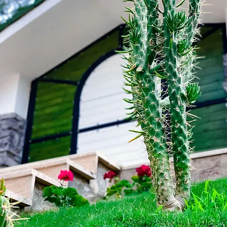 Beacon Hill * Akyaka (Mugla)