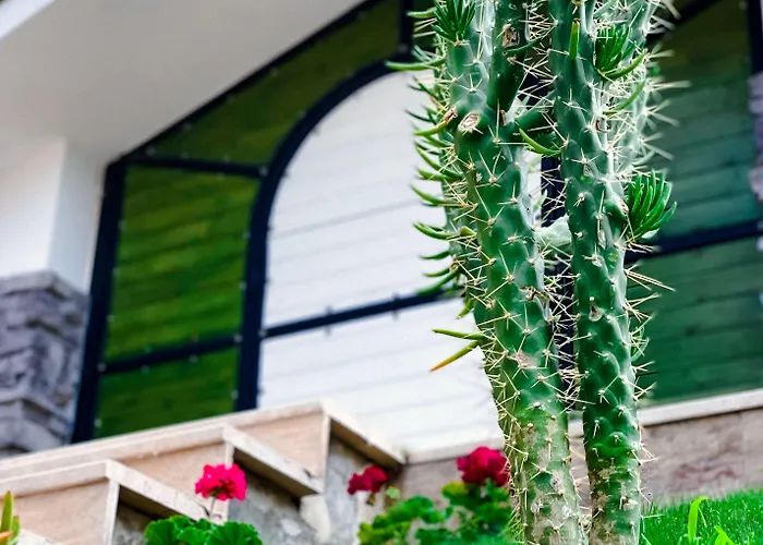 Beacon Hill * اكياكا